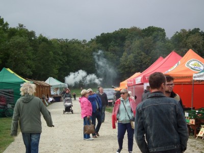 Krośnice: Kolejką Wokół Stawów - 13