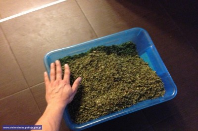 Policjanci zlikwidowali linię produkcyjną dopalaczy (FOTO) - 1