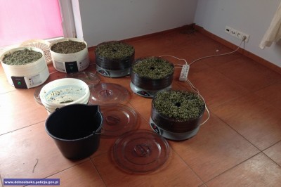Policjanci zlikwidowali linię produkcyjną dopalaczy (FOTO) - 2