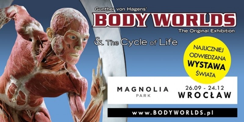 BODY WORLDS & The Cycle of Life  - fot. materiały prasowe