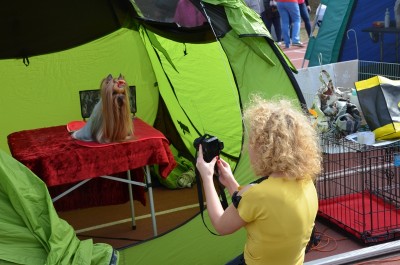 XXIII Międzynarodowa Wystawa Psów Rasowych - 39