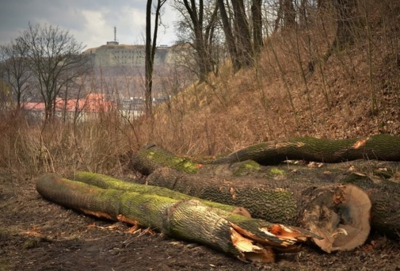 Kłodzko: Batalia o fort Owcza Góra (POSŁUCHAJ) - fot. Michał Wyszowski