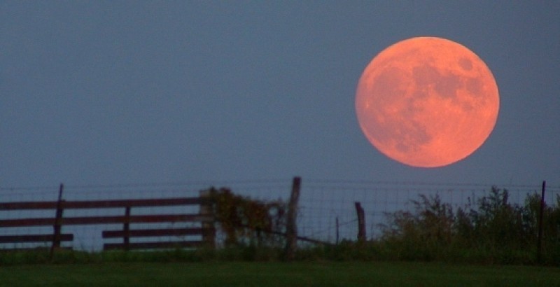 Na niebie pojawi się "krwawy" Księżyc (SPRAWDŹ GODZINY) - fot. sowaowa.wordpress.com via Wikimedia Commons
