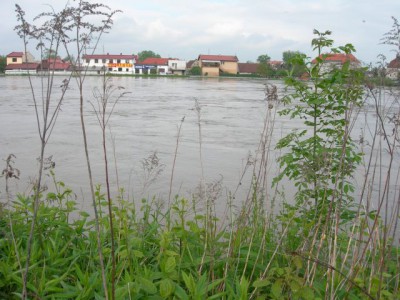 Wielka woda na Dolnym Śląsku, 20.05.10 - relacja - 13