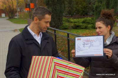 Zoo Wrocław: Nowe gadżety spodobały się żyrafom (FOTO) - 0