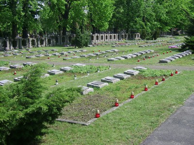 Legnica - znicze na grobach żołnierzy Armii Radzieckiej (Zdjęcia) - 0