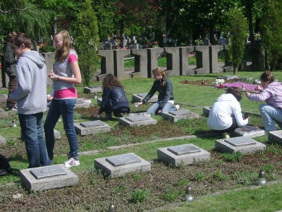 Legnica - znicze na grobach żołnierzy Armii Radzieckiej (Zdjęcia) - 1