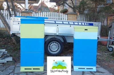 Chce zarazić dzieci miłością do pszczół (ZOBACZCIE) - 3