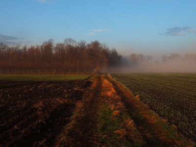 Piękną wiosnę mamy tej zimy (PROGNOZA POGODY) - 7