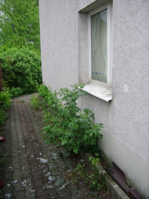 Dwa oblicza legnickiego PCK (Posłuchaj i Zobacz) - 11
