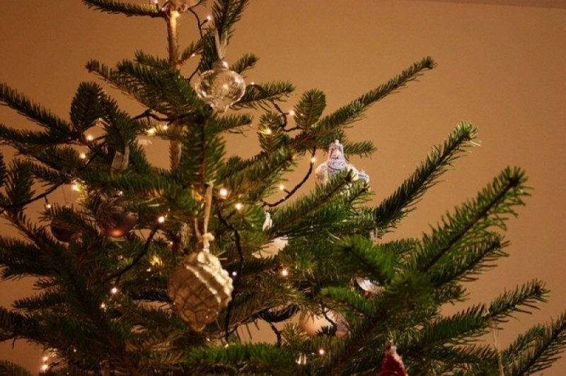 Służby wywiozą nasze drzewka świąteczne - fot. Frances Berriman/flickr.com under license of Creative Commons