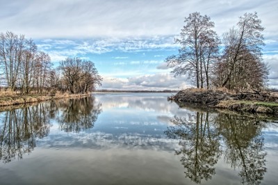 Katastrofa w milickich stawach! Niemal wszystkie ryby wyginęły - 3