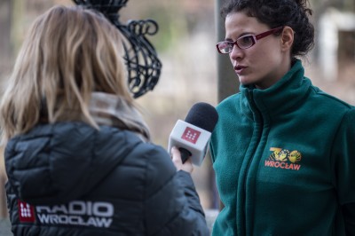 Zoo Wrocław: Zwierzętom ciepło, więc odpoczywają na zewnątrz (FOTO) - 1
