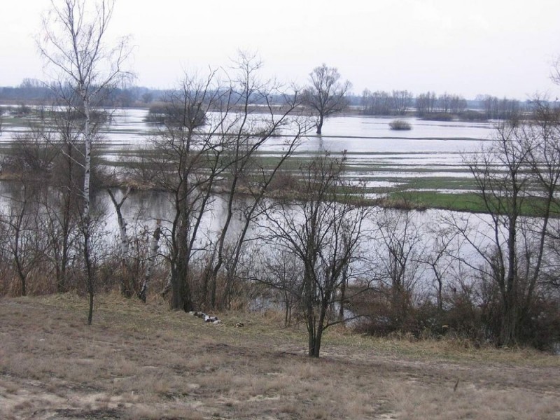 Nadchodzą roztopy. Więcej wody w rzekach! - Fot: Wikipedia