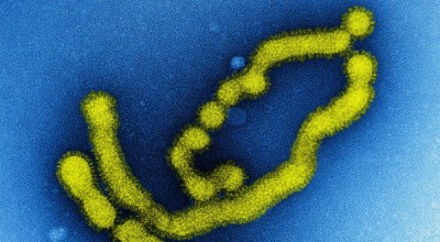 Świńska grypa: Trwa walka o życie pacjentki trzebnickiego szpitala