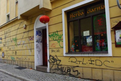 Oszpecony Wrocław na wiosnę (Zobacz) - 7