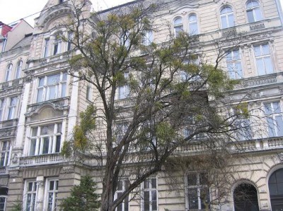 Pasożyt wymknął się spod kontroli! (Posłuchaj) - 2