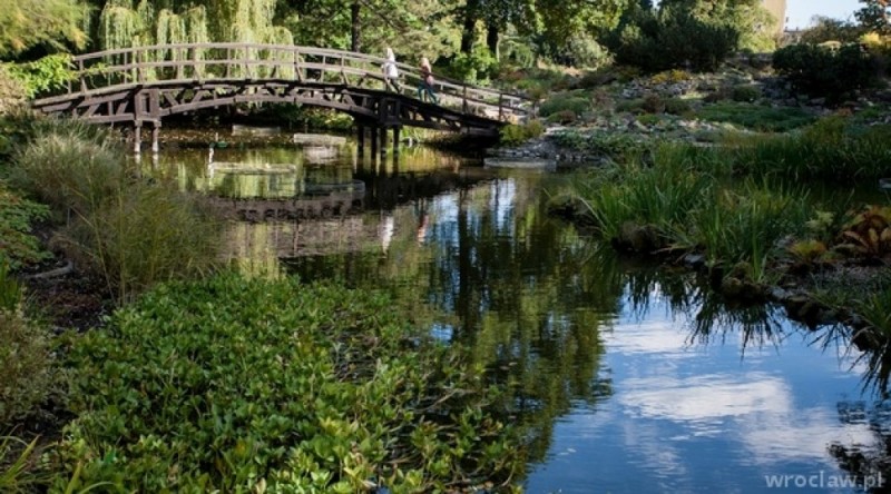 Przyszła wiosna! Otwarto Ogród Botaniczny we Wrocławiu - fot. wroclaw.pl