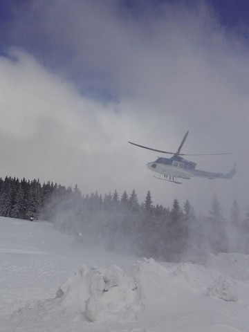 Psy z karkonoskiego GOPR przeszły szkolenie lawinowe w Austrii - 0