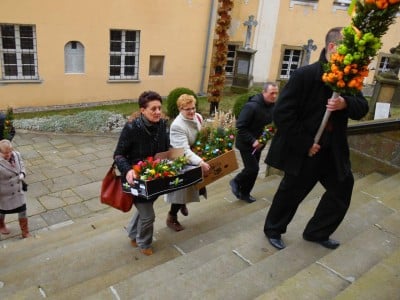 Palmy z Chełmska Śląskiego (GALERIA) - 9