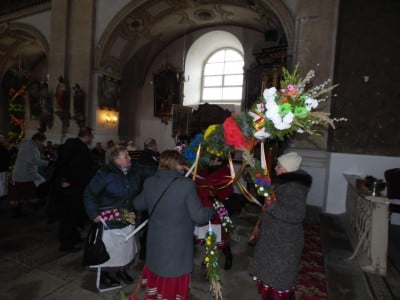 Palmy z Chełmska Śląskiego (GALERIA) - 11
