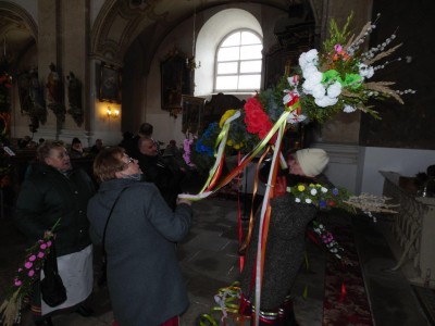 Palmy z Chełmska Śląskiego (GALERIA) - 12