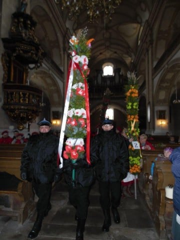 Palmy z Chełmska Śląskiego (GALERIA) - 13