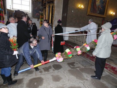Palmy z Chełmska Śląskiego (GALERIA) - 17
