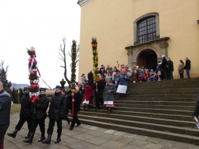Palmy z Chełmska Śląskiego (GALERIA) - 19
