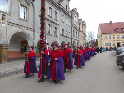Palmy z Chełmska Śląskiego (GALERIA) - 20