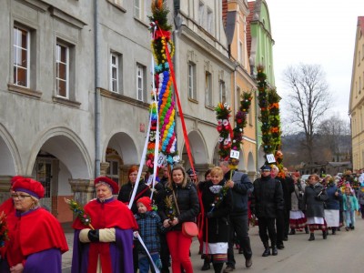 Palmy z Chełmska Śląskiego (GALERIA) - 21
