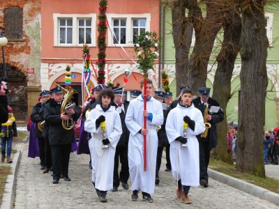 Palmy z Chełmska Śląskiego (GALERIA) - 22