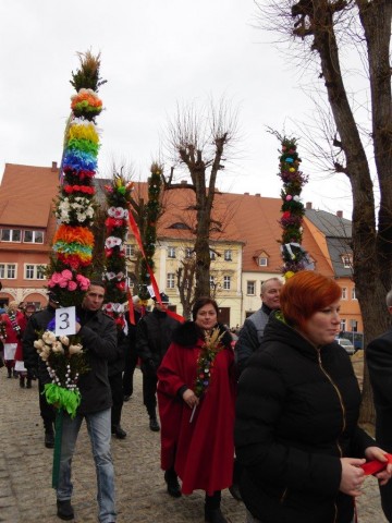 Palmy z Chełmska Śląskiego (GALERIA) - 23