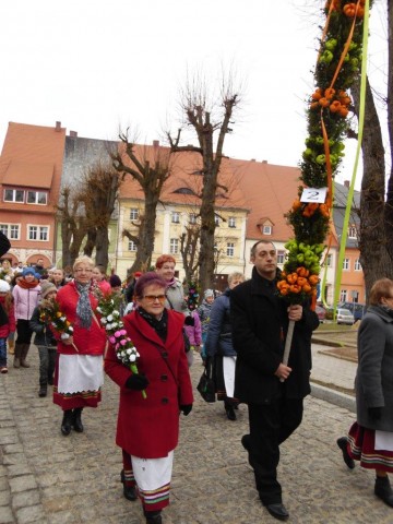 Palmy z Chełmska Śląskiego (GALERIA) - 24
