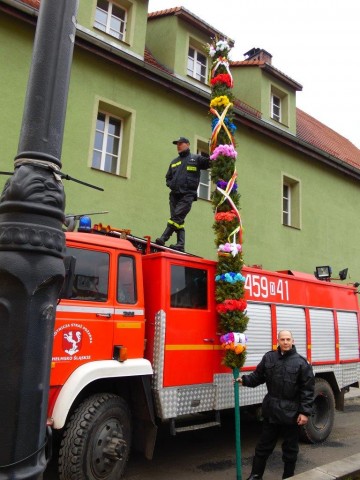 Palmy z Chełmska Śląskiego (GALERIA) - 4