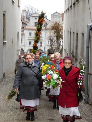 Palmy z Chełmska Śląskiego (GALERIA) - 7