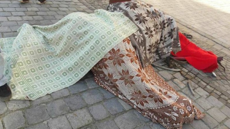 Śmierć konia na wrocławskim Rynku. Będzie wniosek do prokuratury - for. Stowarzyszenie Otwarte Klatki