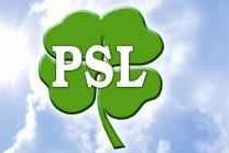 Geringer de Oedenberg wystartuje do Parlamentu Europejskiego z listy PSL -