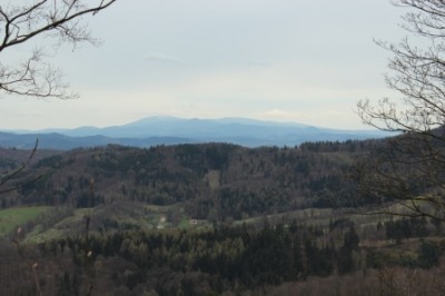 Silver Run w Srebrnej Górze (RELACJA) - 12