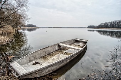 Cztery głosy stawów (REPORTAŻ) - 0