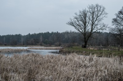 Cztery głosy stawów (REPORTAŻ) - 9