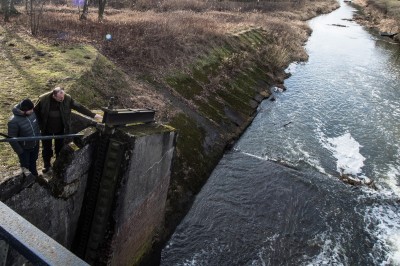 Cztery głosy stawów (REPORTAŻ) - 5