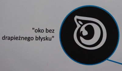 Dolnośląski orzeł to słabeusz? (Posłuchaj) - 0