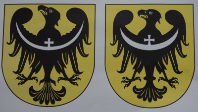 Dolnośląski orzeł to słabeusz? (Posłuchaj) - 2