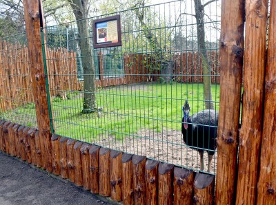 Zoo Wrocław: Warany z Komodo i smoki z Indonezji będą miały nowy dom (FOTO) - 5