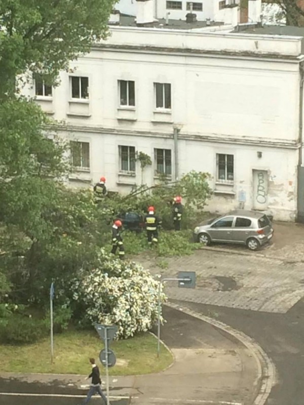 Wieje silny wiatr, mogą być burze. We Wrocławiu runęło drzewo - 