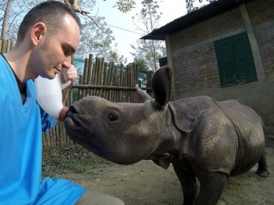 We wrocławskim zoo ratują nosorożce (ZDJĘCIA)