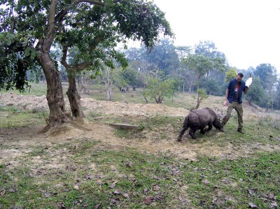 We wrocławskim zoo ratują nosorożce (ZDJĘCIA) - 5