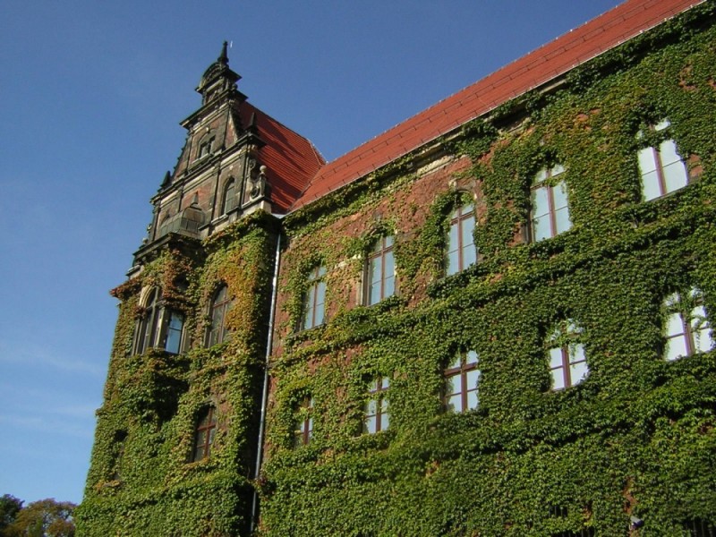 Noc Muzeów: Muzeum Narodowe we Wrocławiu - Fot: commons.wikimedia.org