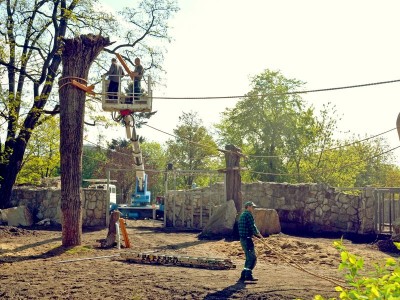 Zoo Wrocław: Wiosna radosna (ZDJĘCIA) - 12